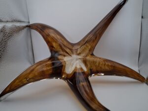 Gesigneerde Glazen Zeester Schaal - Han Huss