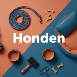 Chaps Paardrijden Zwart Epplejeck Maat L/W