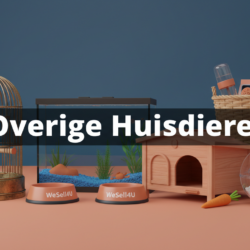 Chaps Paardrijden Zwart Epplejeck Maat L/W