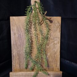 Decoratieve Houten Broodplank / Display met Standaard & Kunstplant (ca. 34 cm)