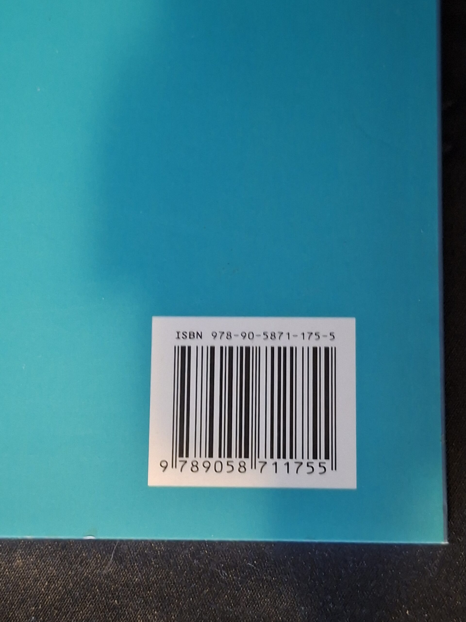 Albert Ellis Alan Baldon RET Een Andere Kijk op Problemen Thema Werkboek - Afbeelding 2