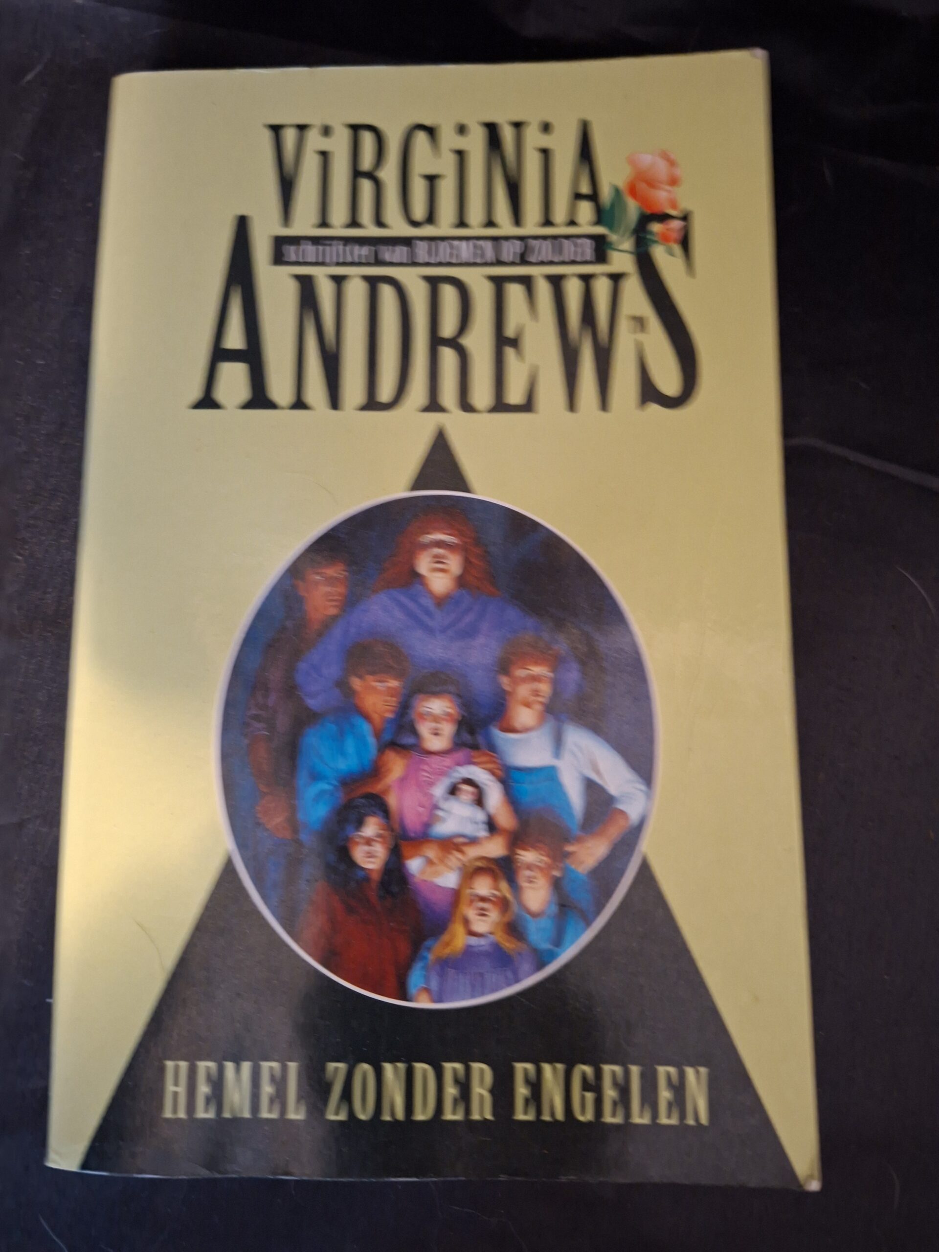 Virginia Andrews Hemel Zonder Engelen Casteel Saga De Kern