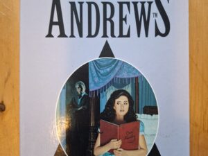 Virginia Andrews De Duistere Engel Casteel Saga De Kern Bestseller