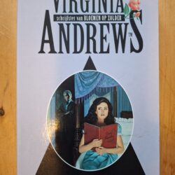 Virginia Andrews De Duistere Engel Casteel Saga De Kern Bestseller