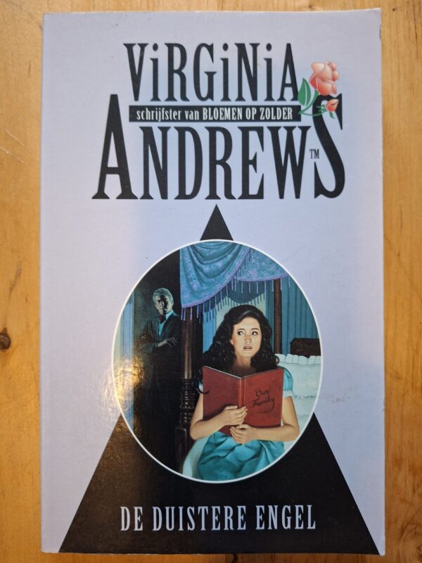 Virginia Andrews De Duistere Engel Casteel Saga De Kern Bestseller