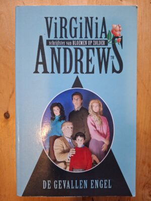 20251204_151349 Virginia Andrews De Gevallen Engel Casteel Saga De Kern Bestseller