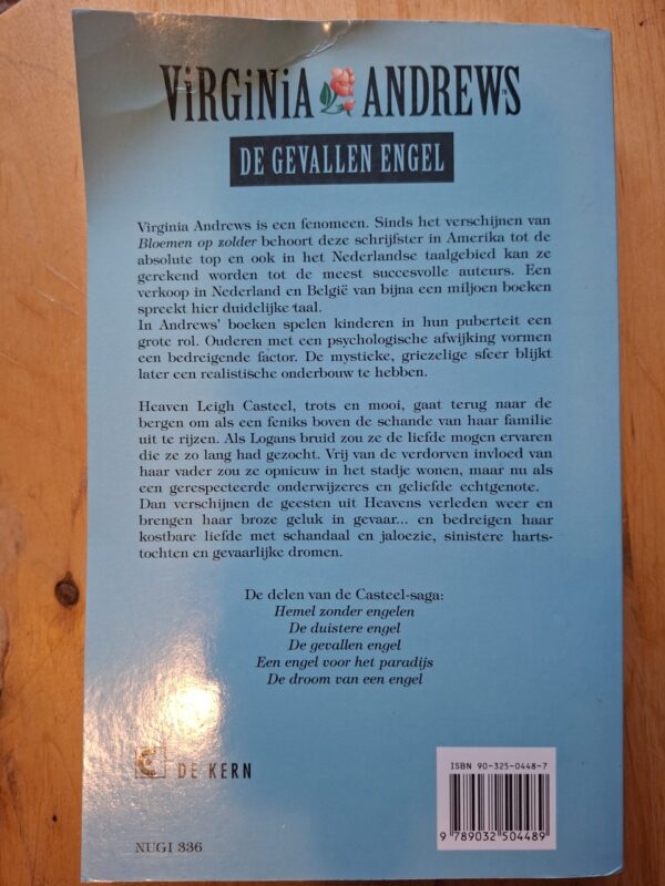 Virginia Andrews De Gevallen Engel Casteel Saga De Kern Bestseller