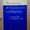 Jeanne Segal Werkboek Emotionele Intelligentie Spectrum Praktische Gids EQ