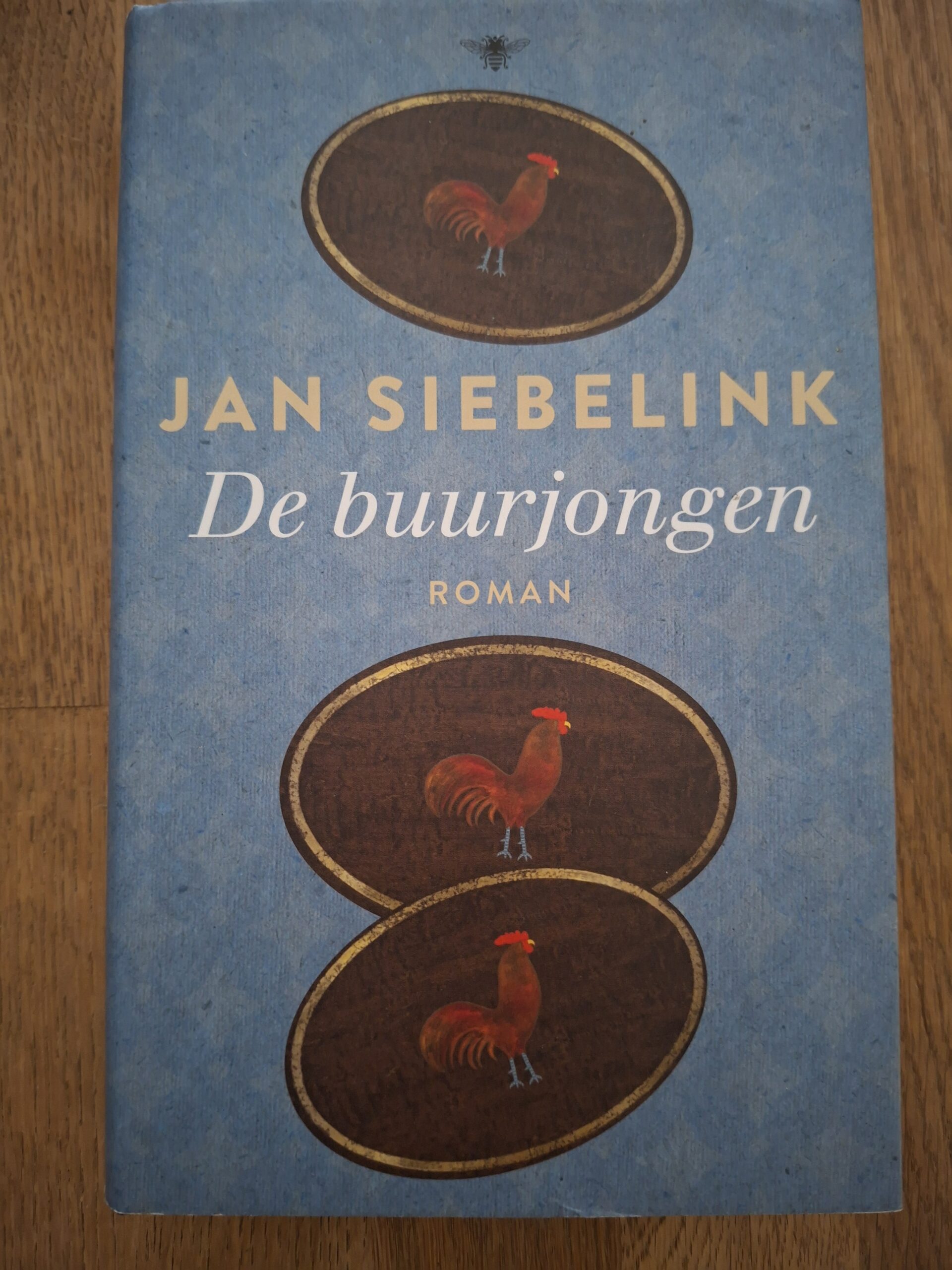 Jan Siebelink De Buurjongen Literaire Roman Vriendschap Leven