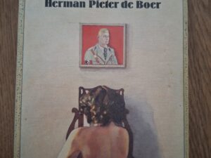 Herman Pieter de Boer Het Herenhotel Pat Andrea Illustraties