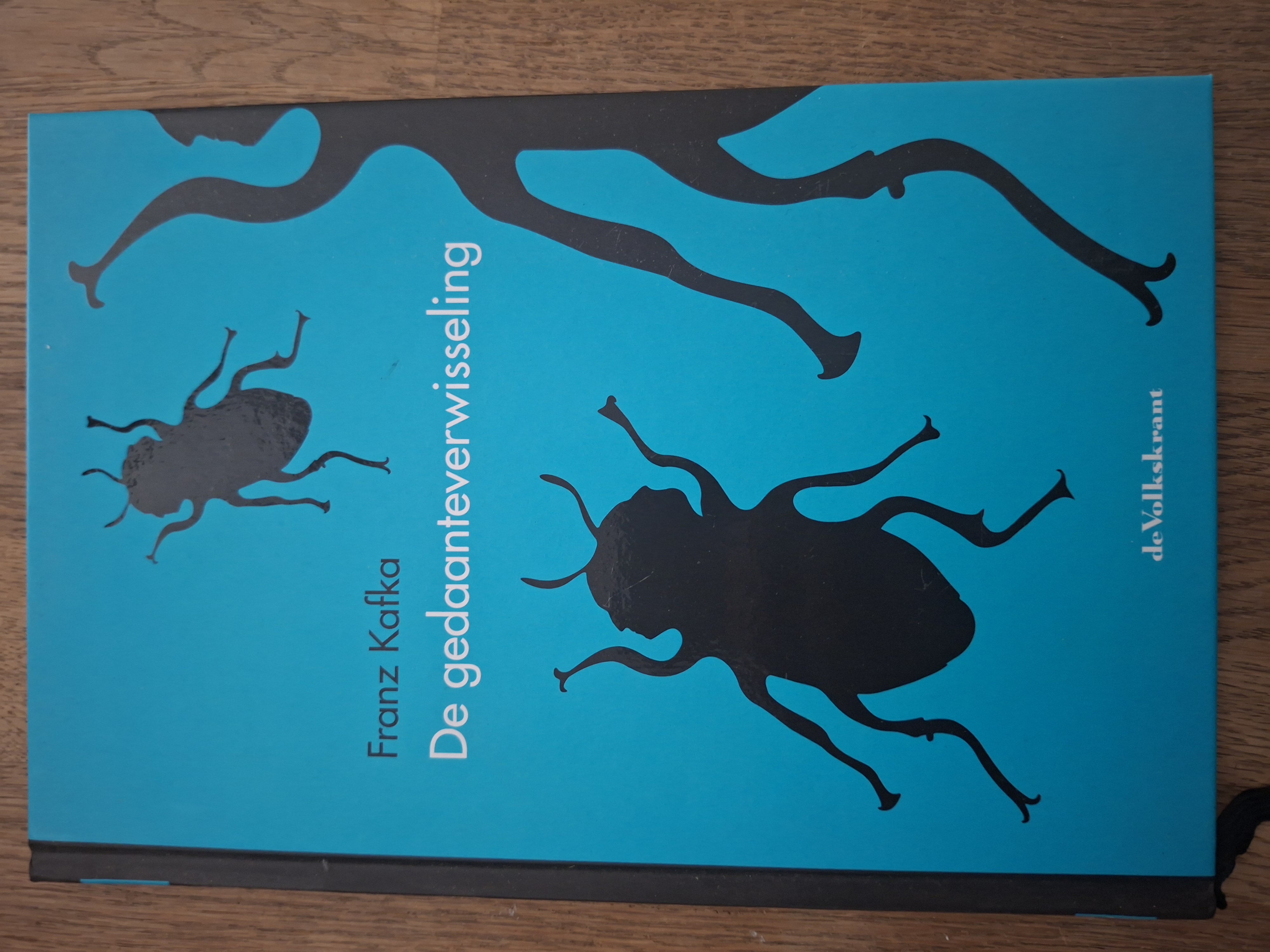 Franz Kafka De Gedaanteverwisseling Wereldliteratuur Klassieker