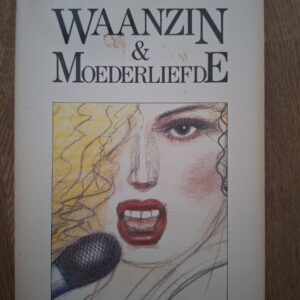 Waanzin en Moederliefde van Herman Pieter de Boer