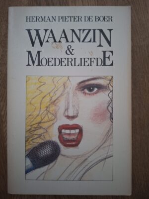 Waanzin en Moederliefde van Herman Pieter de Boer