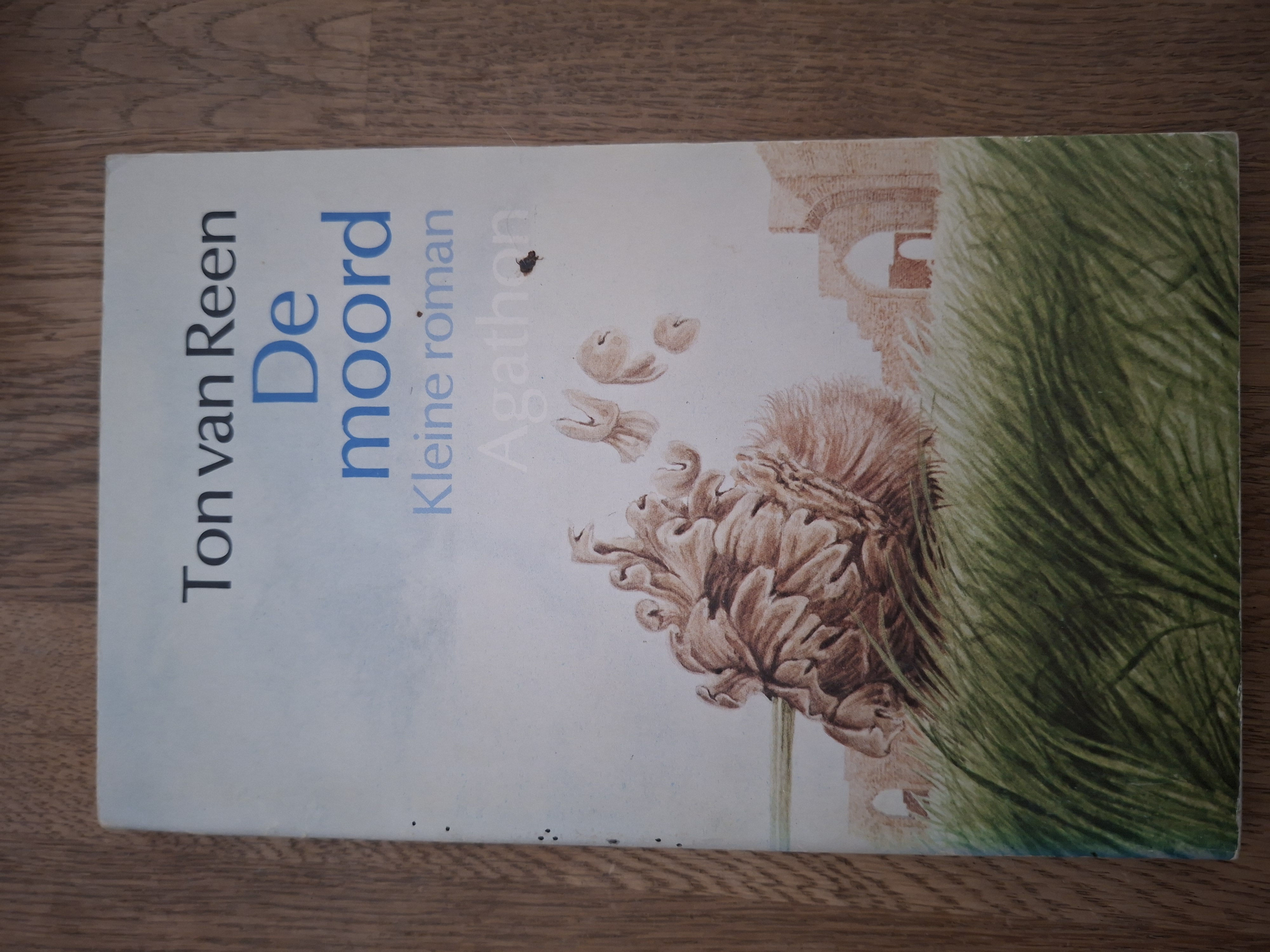 Ton van Reen De Moord Kleine Roman Agathon Sprookjesachtig