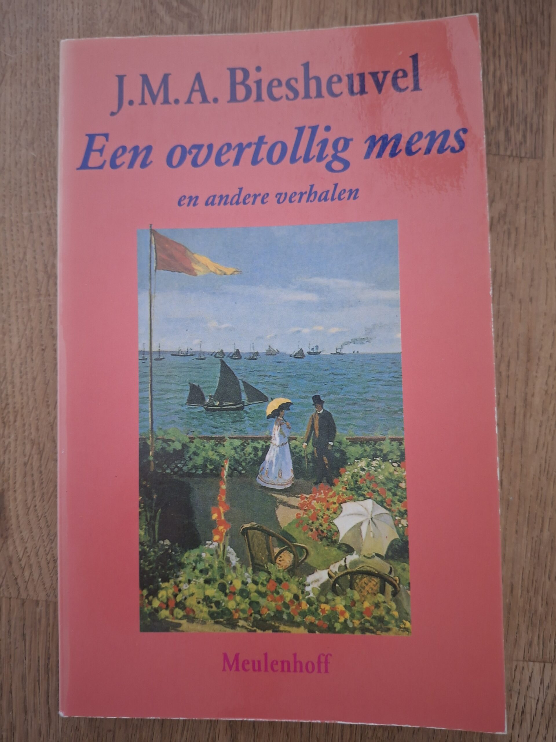 J.M.A. Biesheuvel Een Overtollig Mens Verhalen Meulenhoff Boekenweek 1988