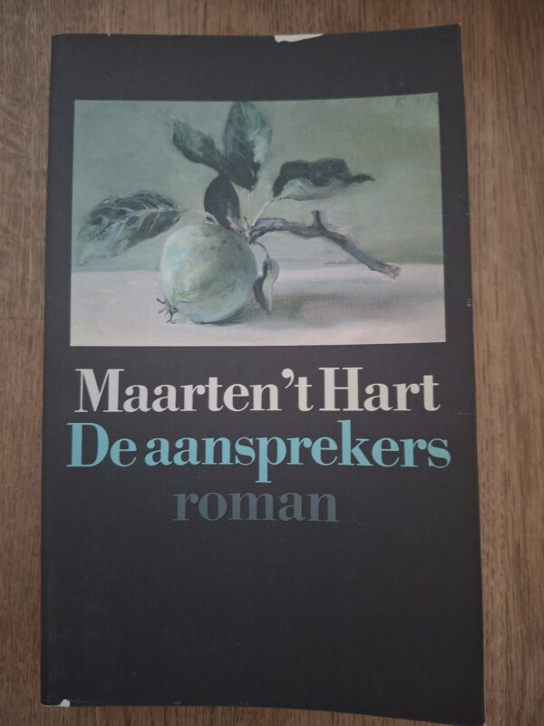 Maarten 't Hart De Aansprekers Roman Vader-Zoon Grote ABC