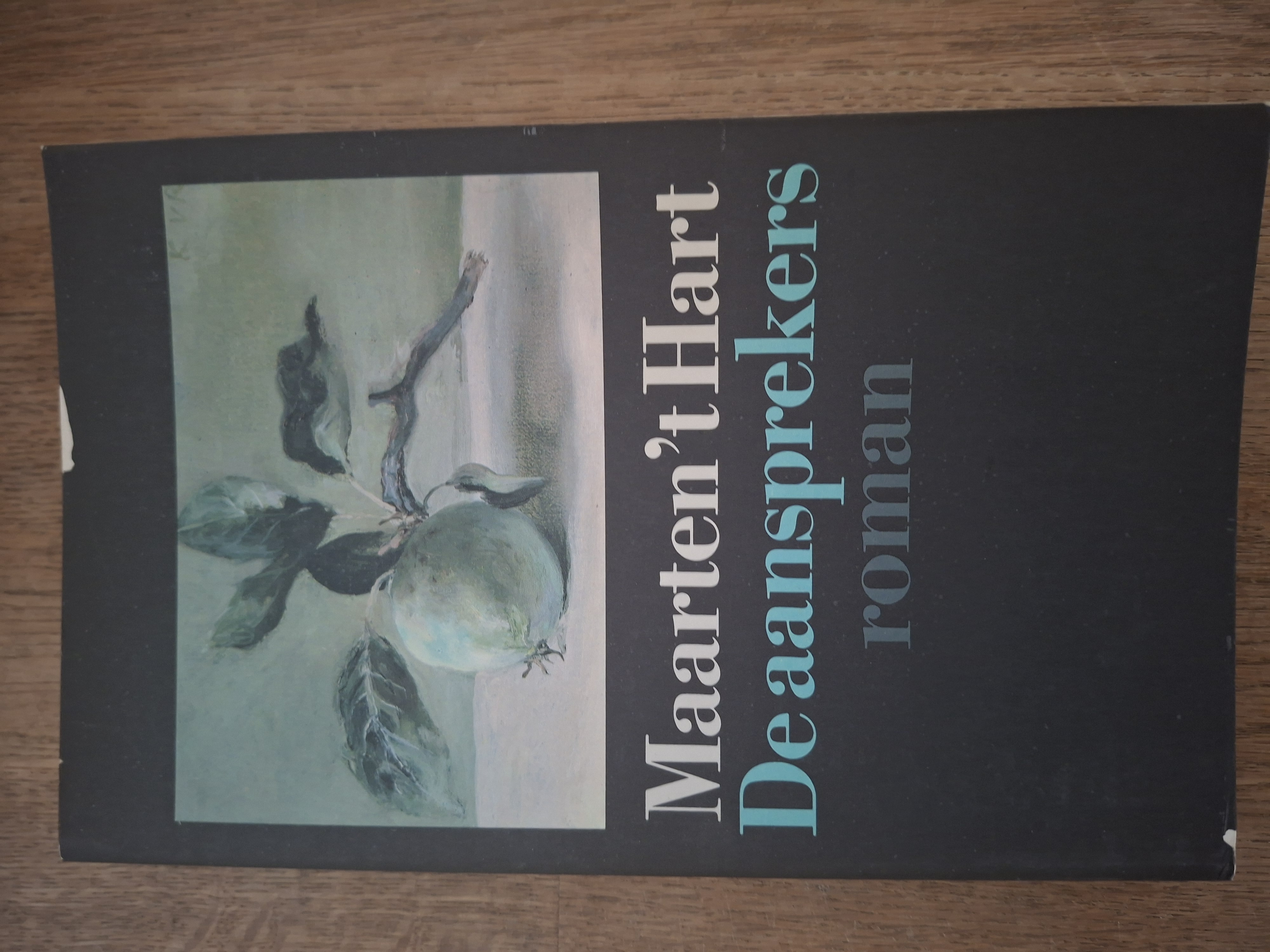 Maarten 't Hart De Aansprekers Roman Vader-Zoon Grote ABC