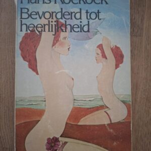 Hans Koekoek Bevorderd Tot Heerlijkheid Debuutroman Van Holkema Warendorf