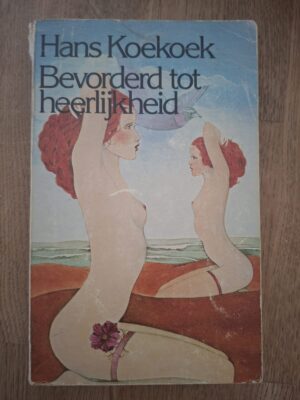 Hans Koekoek Bevorderd Tot Heerlijkheid Debuutroman Van Holkema Warendorf