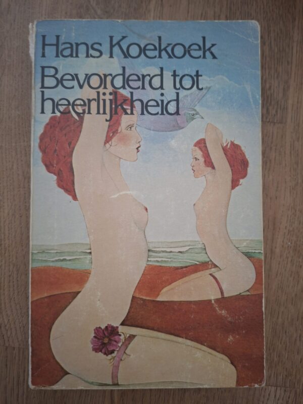 Hans Koekoek Bevorderd Tot Heerlijkheid Debuutroman Van Holkema Warendorf