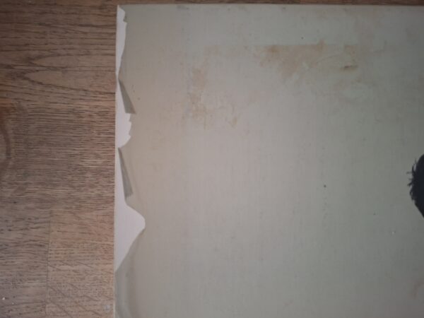 Oek de Jong Opwaaiende Zomerjurken Roman Meulenhoff Eerste Druk 1979