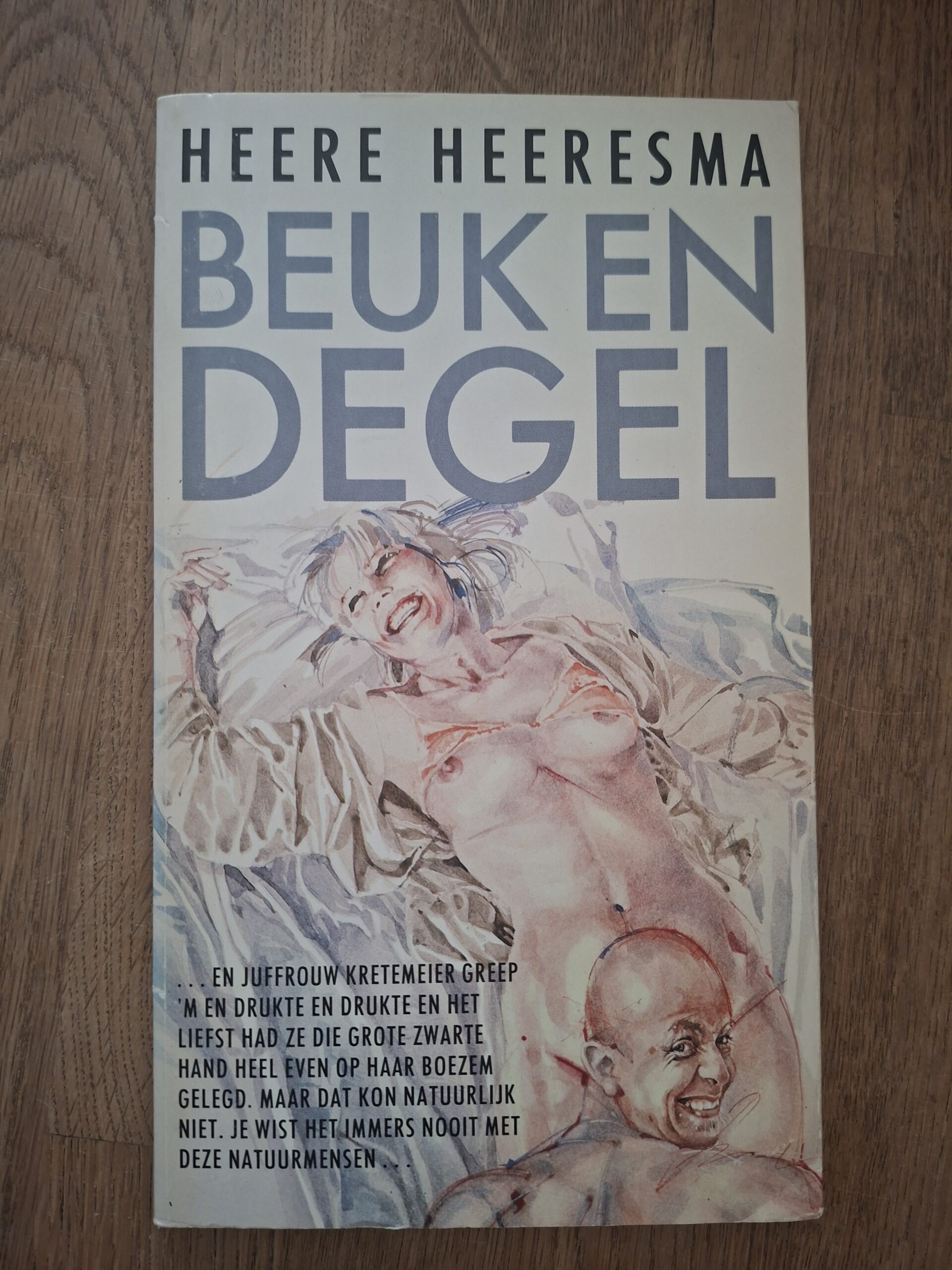 20251206_143500 Heere Heeresma Beuk en Degel Novelle Vintage 1983 Geïllustreerd