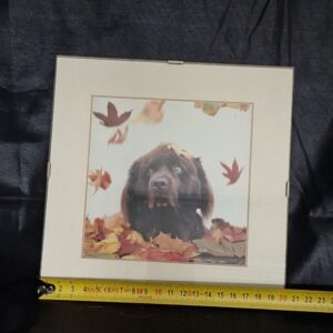 Vierkante Fotolijst 20x20cm Crème Passepartout Gouden Randje