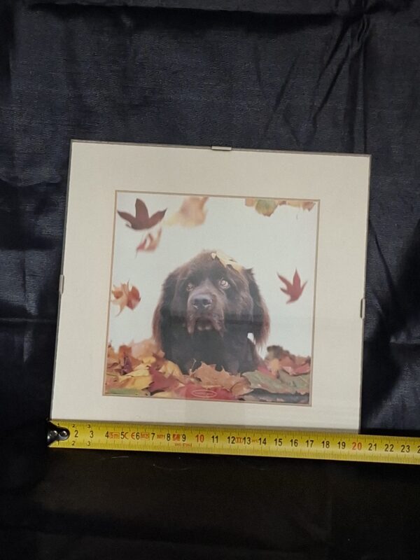 Vierkante Fotolijst 20x20cm Crème Passepartout Gouden Randje