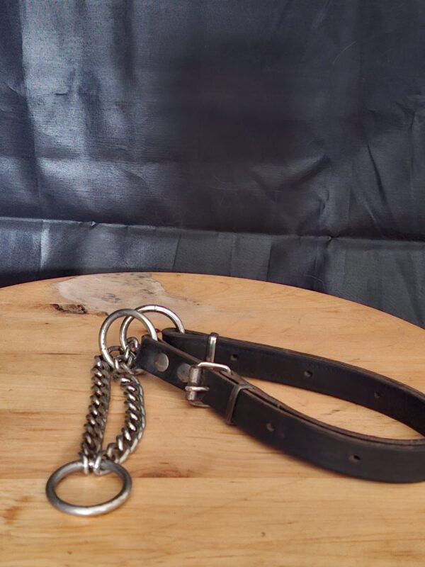 20251219_113234 Zwarte Leren Hondenhalsband met Ketting Small/Medium