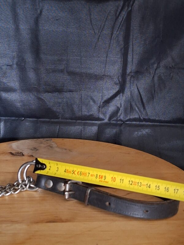 20251219_113255 Zwarte Leren Hondenhalsband met Ketting Small/Medium