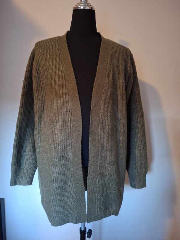 20260104_154143 Vest Gebreid Groen Hema Maat L