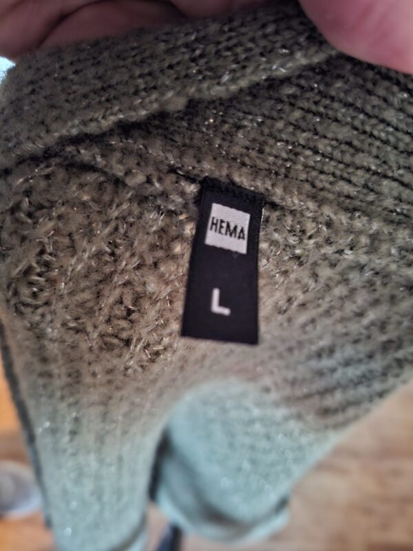 20260104_154440 Vest Gebreid Groen Hema Maat L