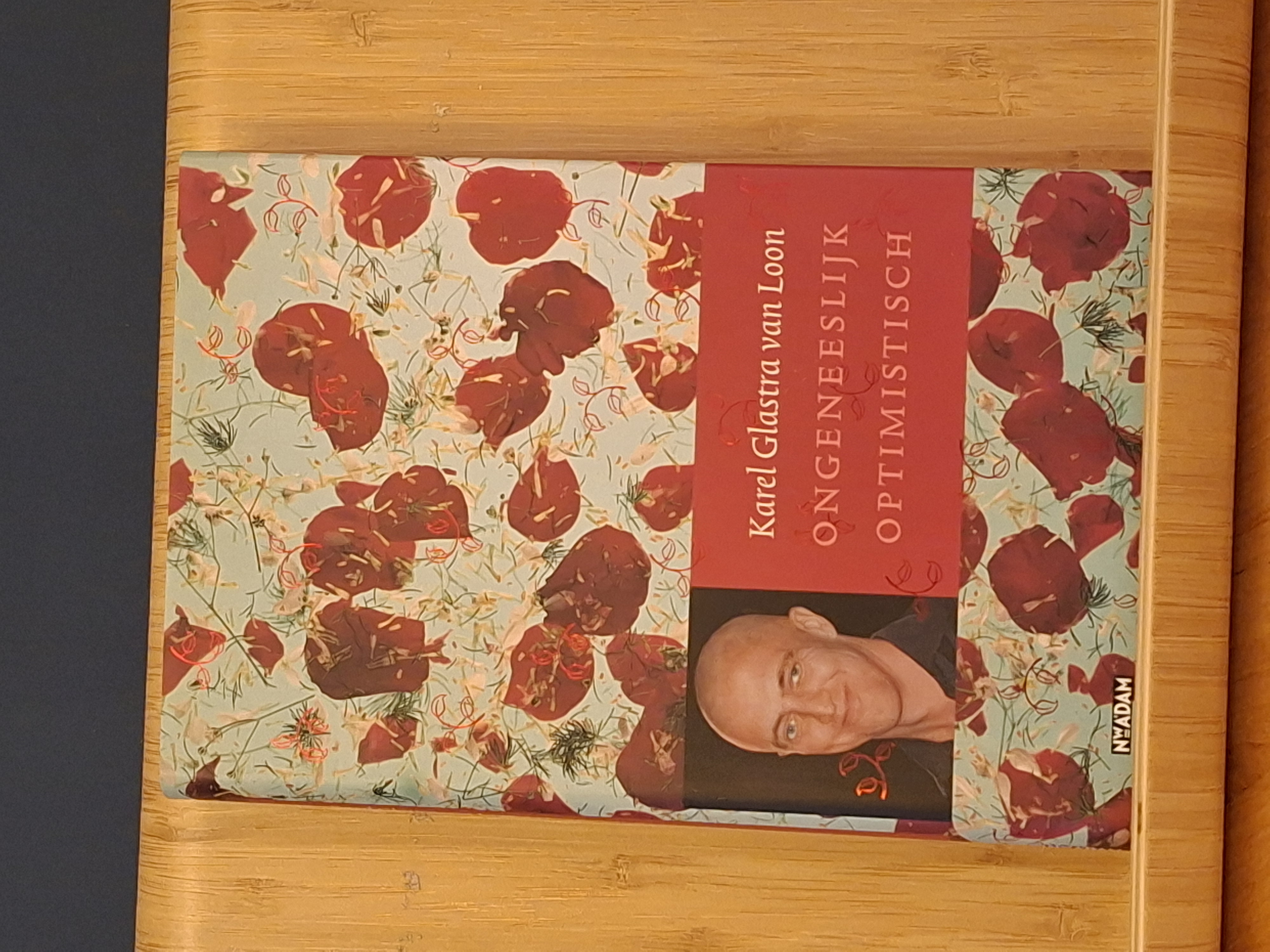 Ongeneeslijk Optimistisch - Karel Glastra van Loon