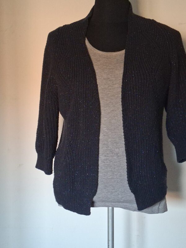 Dame Blanche Anvers donkerblauw vest met glitterdraad maat U