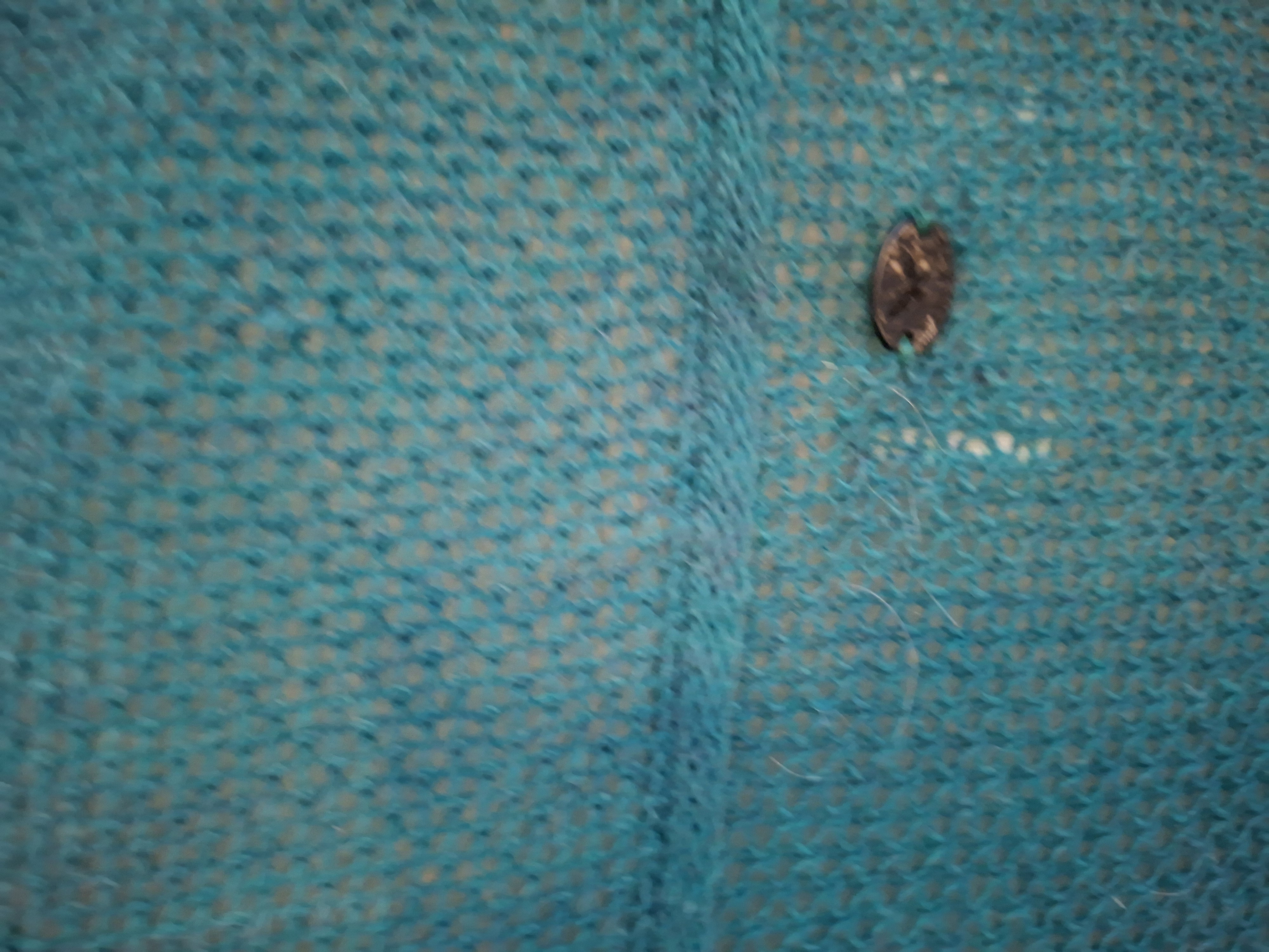 Antholopy Firenze gebreid vest (102.)