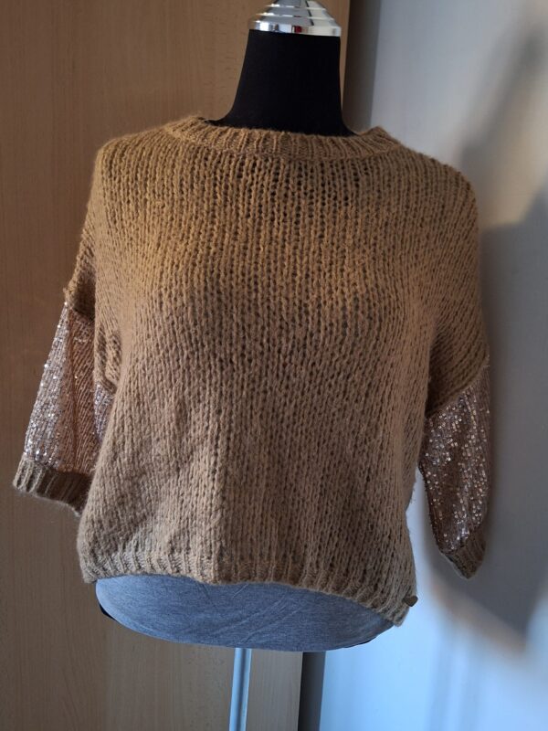 20260125_155147 Amelie & Amelie cognac trui met pailletten mouwen maat M