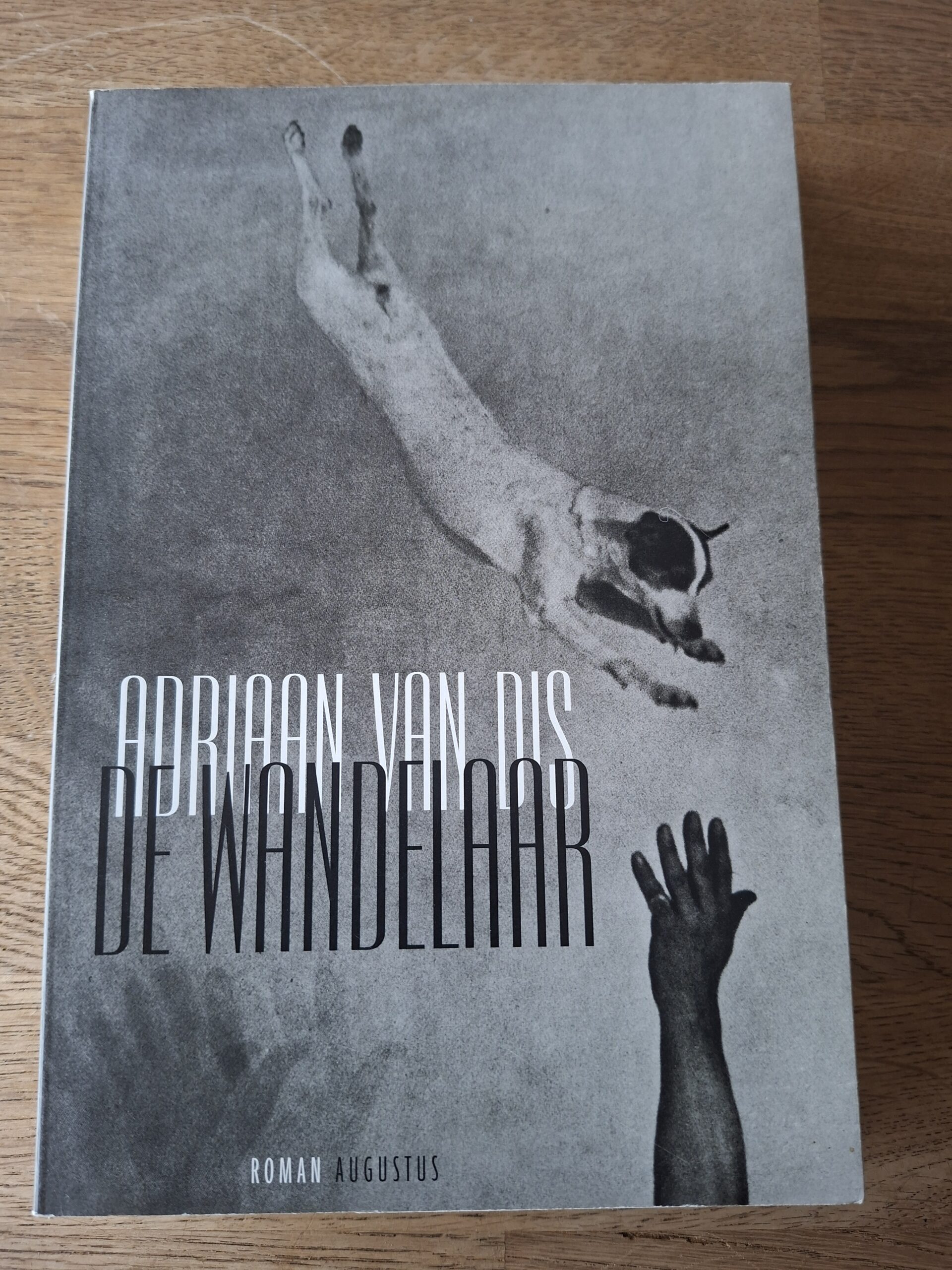 Adriaan van Dis - De wandelaar (roman)