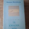 Hannes Meinkema - Te kwader min