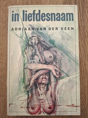 Adriaan van der Veen - In liefdesnaam (roman)