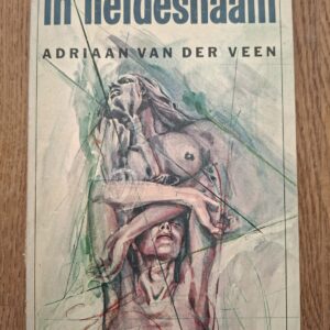Adriaan van der Veen - In liefdesnaam (roman)