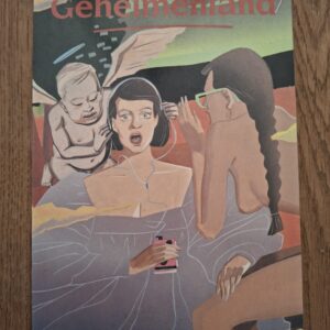 Herman Pieter de Boer - Geheimenland