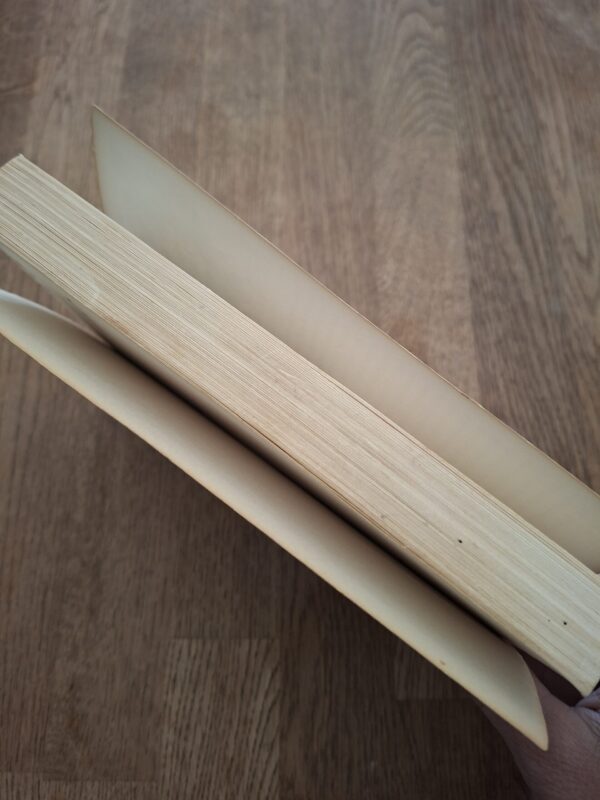 Guus Kuijer - De man met de hamer (verhalen)