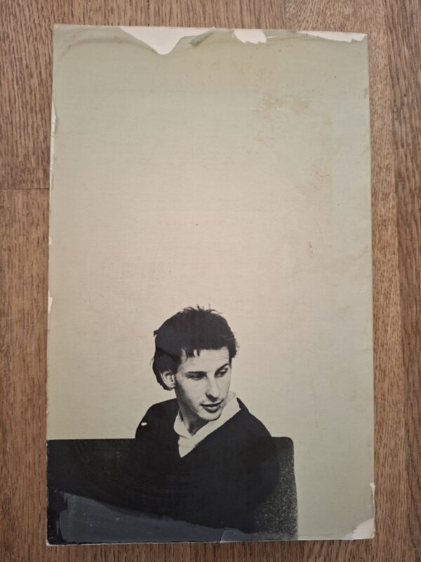 Oek de Jong - Opwaaiende zomerjurken (roman)