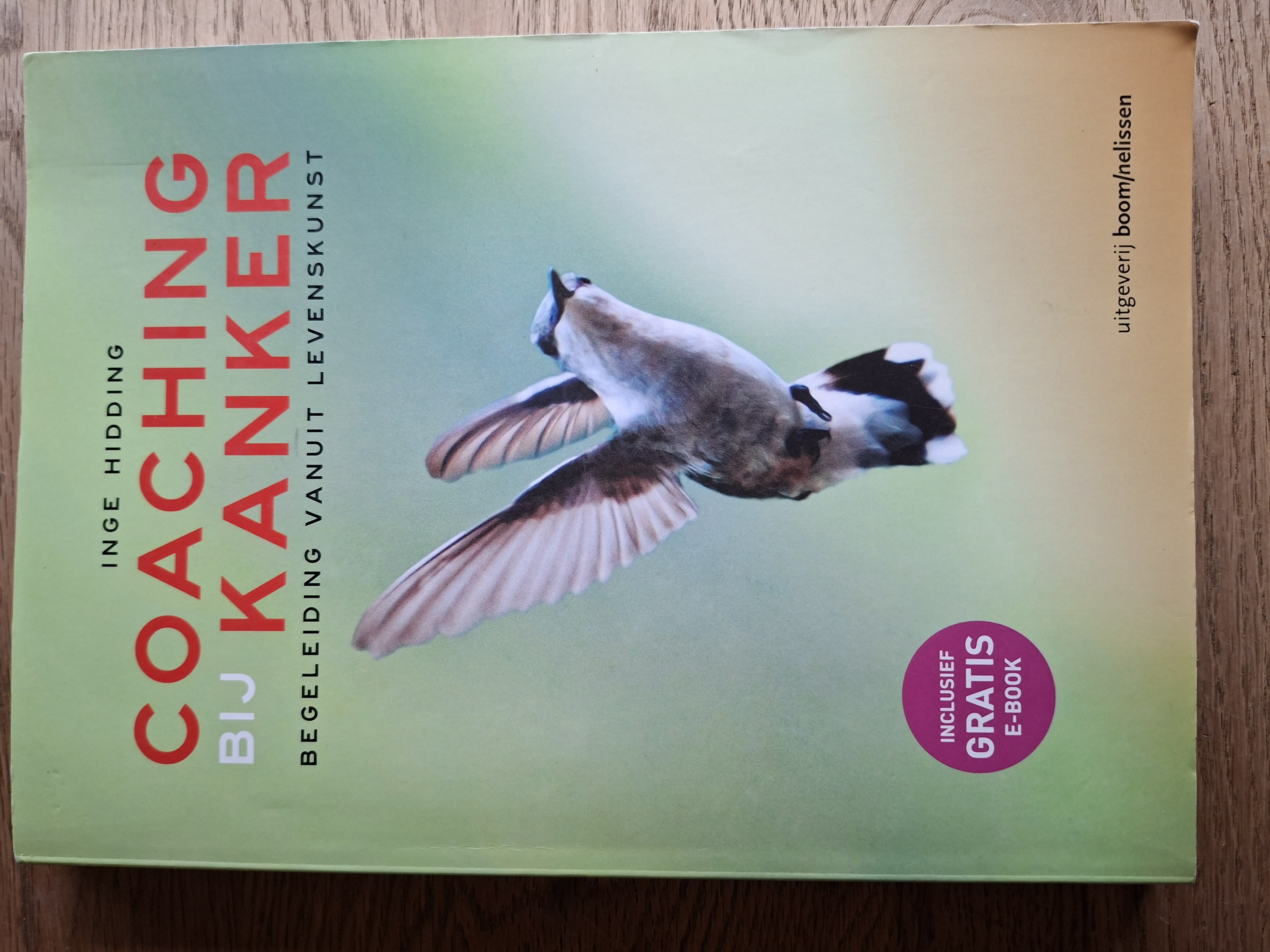 20260222_150014 Coaching bij Kanker - Inge Hidding