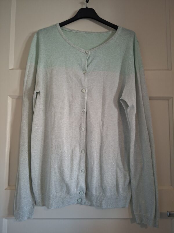 Vest mintgroen glitter maat S/M
