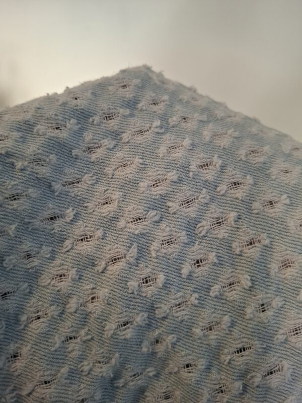 Redial Jeans Opengewerkt Lichtblauw Maat 34 (XS)