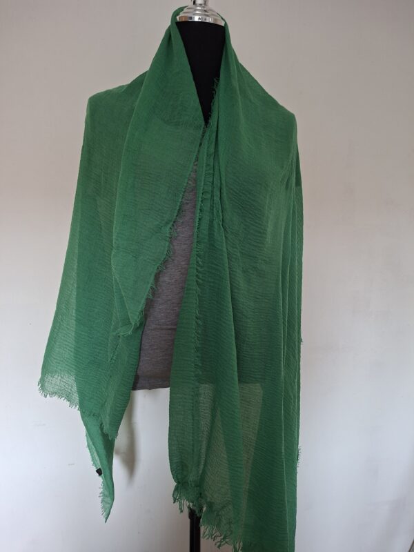 20260307_120701 Set van 2 Grote Viscose Sjaals Paars & Groen
