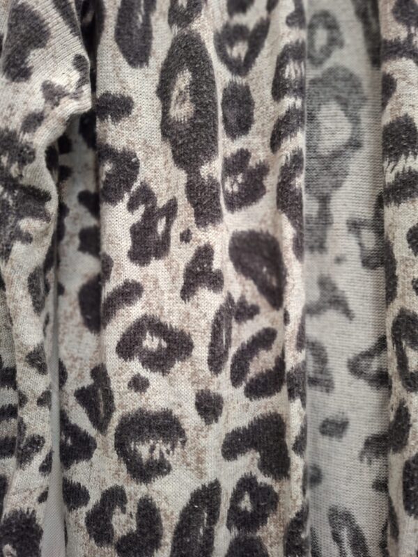 H&M Blazer/Jas Luipaardprint EUR 36