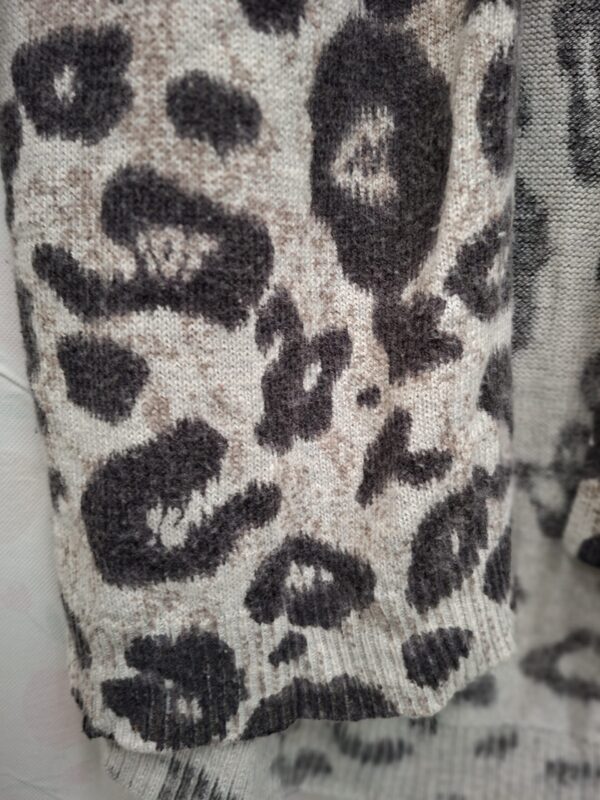 H&M Blazer/Jas Luipaardprint EUR 36