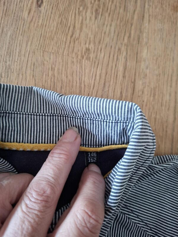 WE Fashion overhemd wit/blauw gestreept met borduurwerk